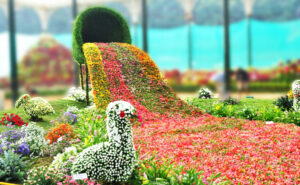 didaxesAgioyRafail flowershow